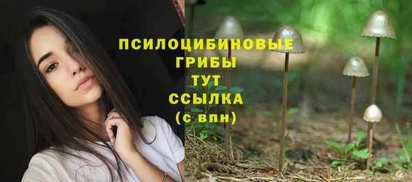 a pvp Краснотурьинск