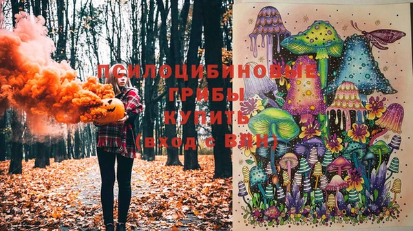 a pvp Краснотурьинск