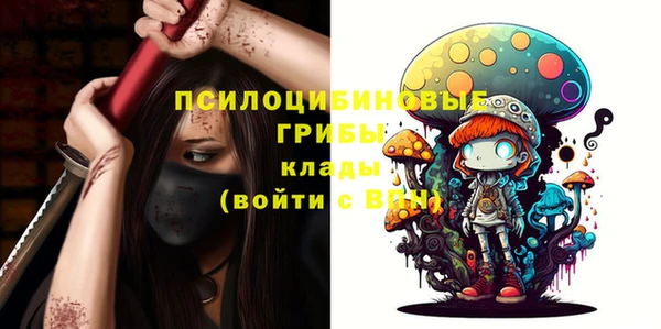 прущая мука Краснослободск