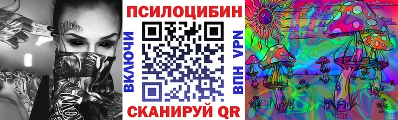 Псилоцибиновые грибы Magic Shrooms  Купить  Михайлов 